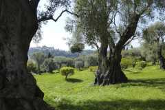 1_9haut-de-cagnes-cagnes-beaches